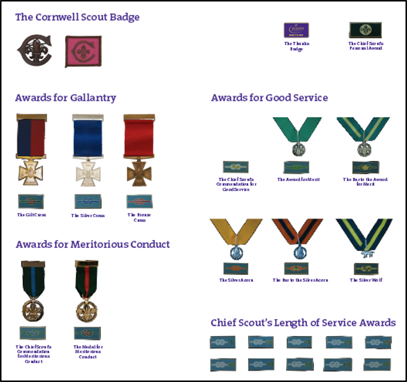 Adult Scout Awards 7